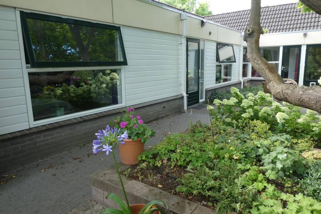 Huis Bij De Catalpa 도르드레흐트 외부 사진