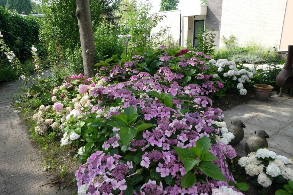Huis Bij De Catalpa 도르드레흐트 외부 사진